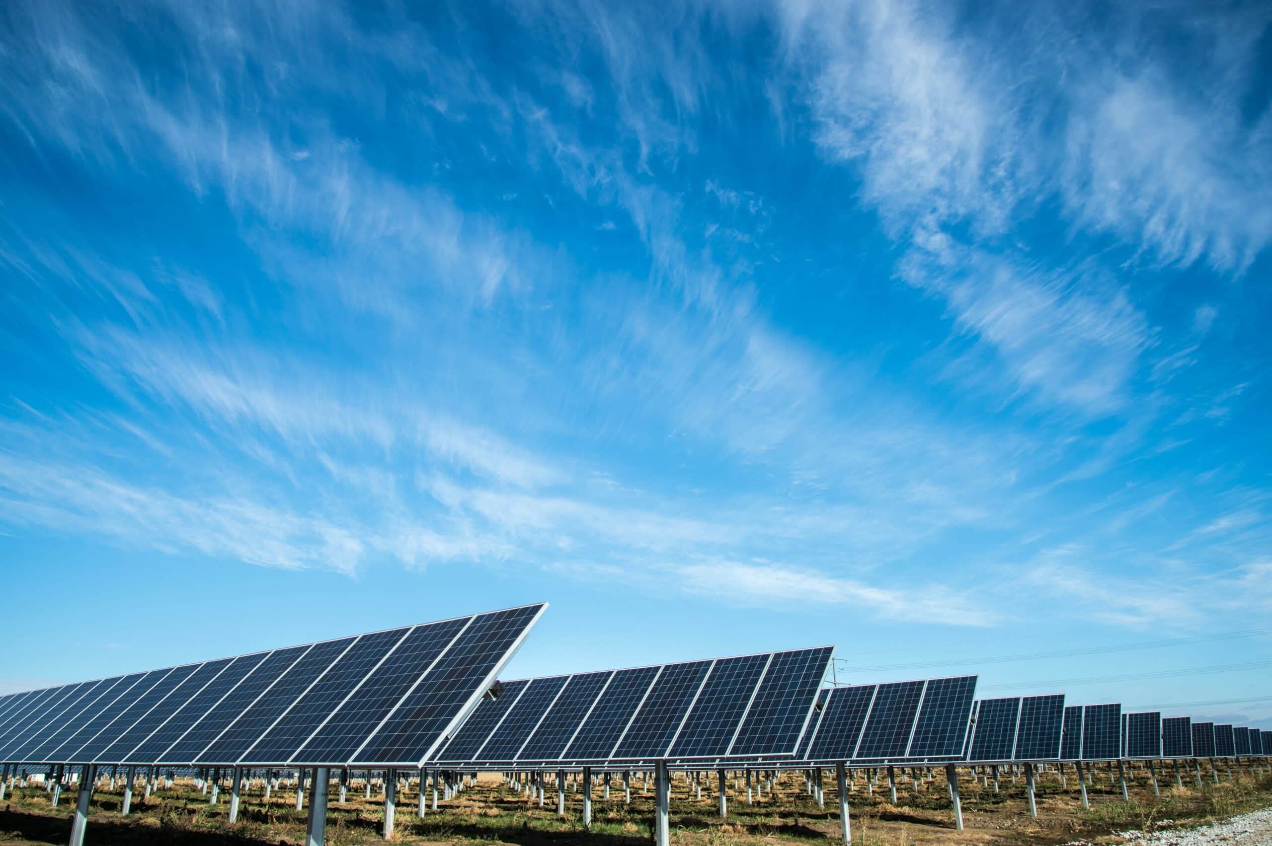 Ground mounted solar panels are arranged in neat rows under a blue sky.