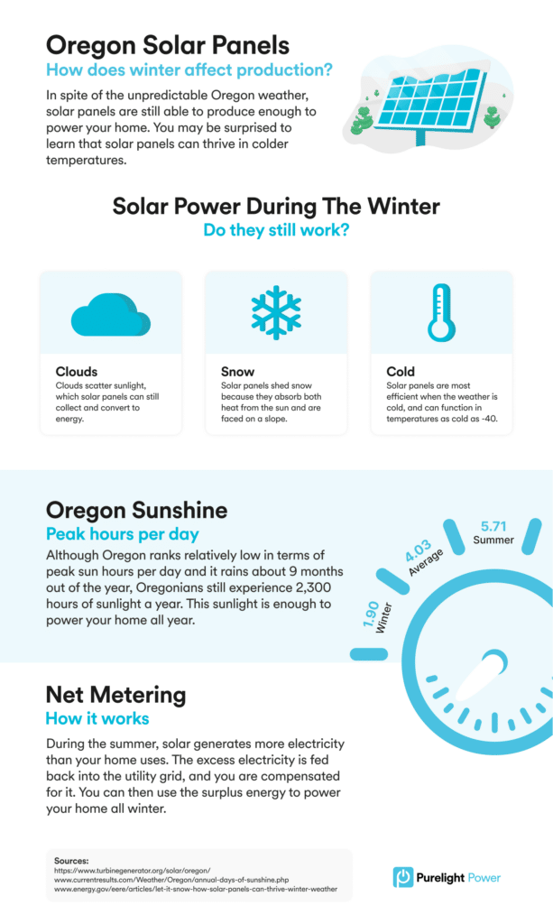Solar panels in winter infographic