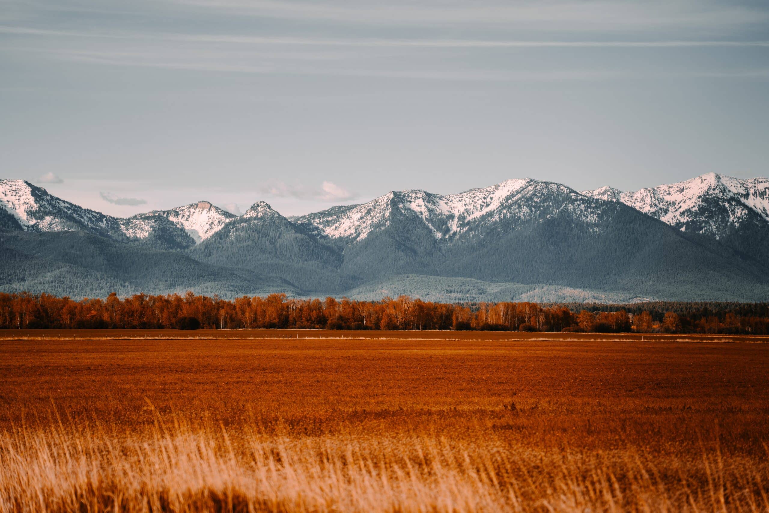 An open field in Montana. Mountains dominate the horizon while the foreground is flush with rolling fields.