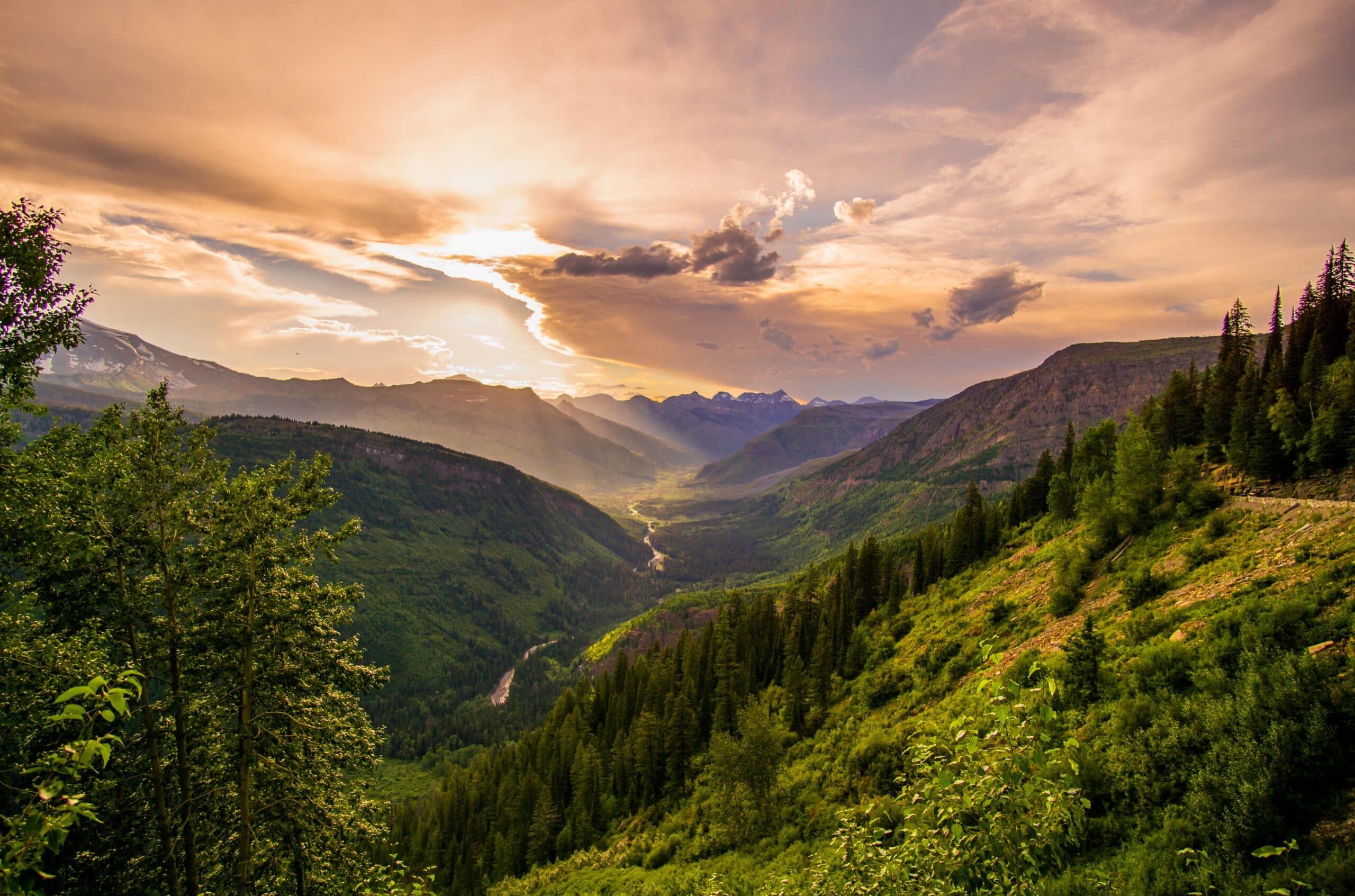 A scenic portrait of lush Montana nature. There are large mountains peppered with trees and a river tucked in a canyon