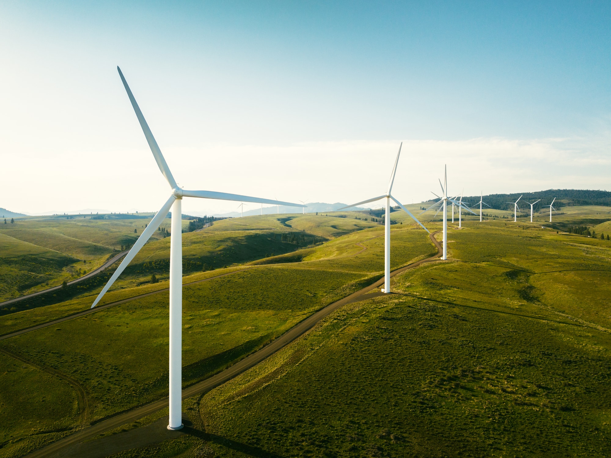 Wind turbines dot a green hill landscape