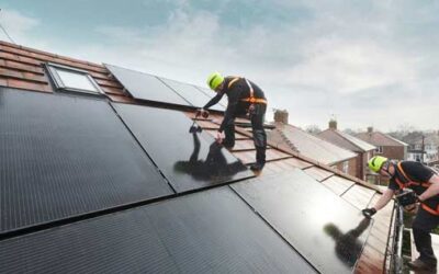 Solar 101: Which Solar Panels Are Best for You?