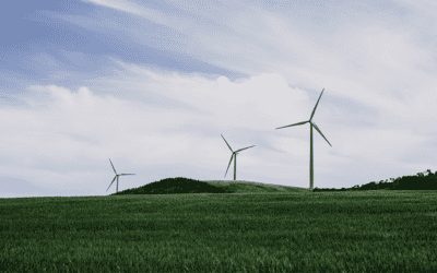 7 Biggest Pros and Cons of Renewable Energy