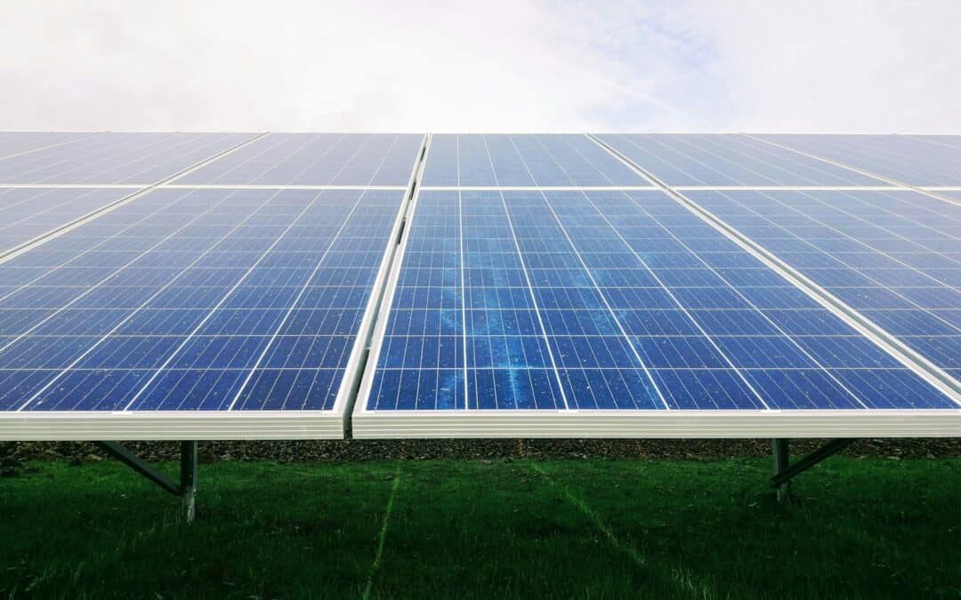 White and blue solar panels stand upright on the ground